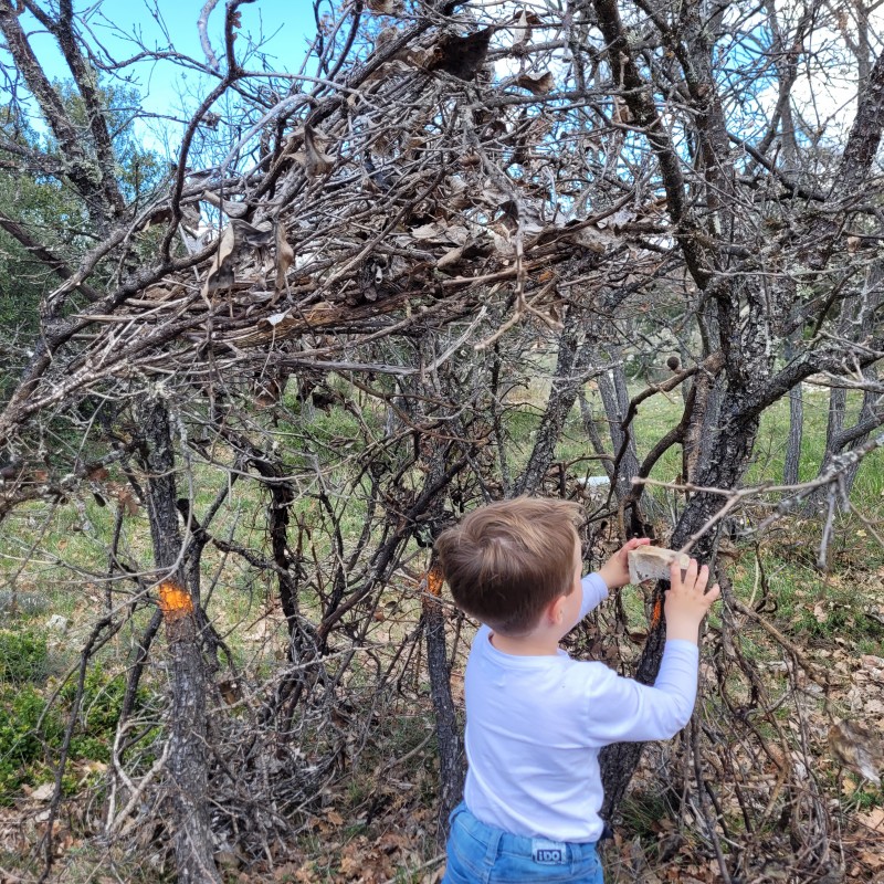 Éveil psychomoteur des enfants grâce au yoga dans des crèches de Montauroux près de Grasse dans le Var