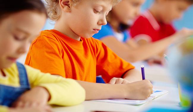 Psychologue Neuropsychologue Frejus Léa Ciccarelli